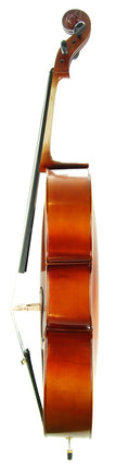 Cello ( Violonsel ) Stanislava STC44BR