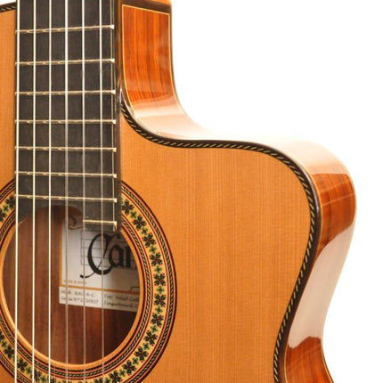 ELEKTRO KLASİK GİTAR SEDİR KAPAK FISHMAN PRO BLEND