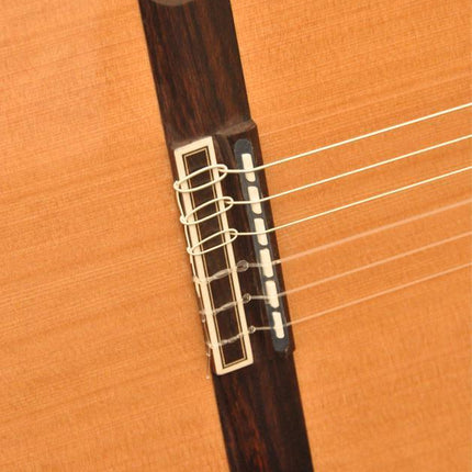 ELEKTRO KLASİK GİTAR SEDİR KAPAK FISHMAN PRO BLEND