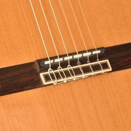ELEKTRO KLASİK GİTAR SEDİR KAPAK FISHMAN PRO BLEND