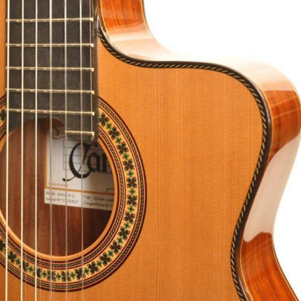 ELEKTRO KLASİK GİTAR SEDİR KAPAK FISHMAN PRO BLEND
