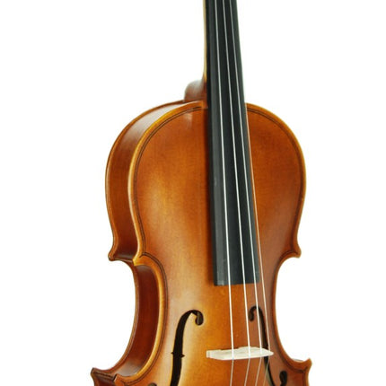 Violin Stanislava Matt 4/4 STVM44
