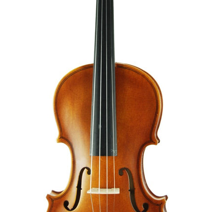 Violin Stanislava Matt 4/4 STVM44