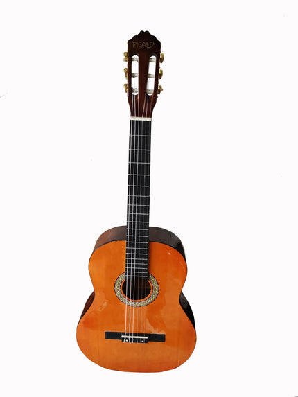 Picaldi AC964-GY 4/4 Classical Guitar