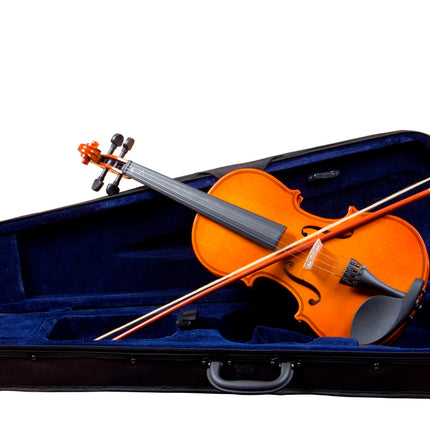 Picaldi VG001L 1/2 Violin
