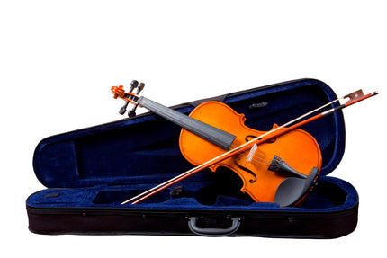 Picaldi VG001L 1/2 Violin