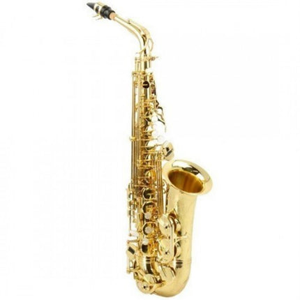 Roy Benson Alto Saksafon AS202 RB700601
