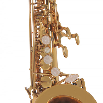 Roy Benson SG-302 Kıvrık Soprano Saksafon